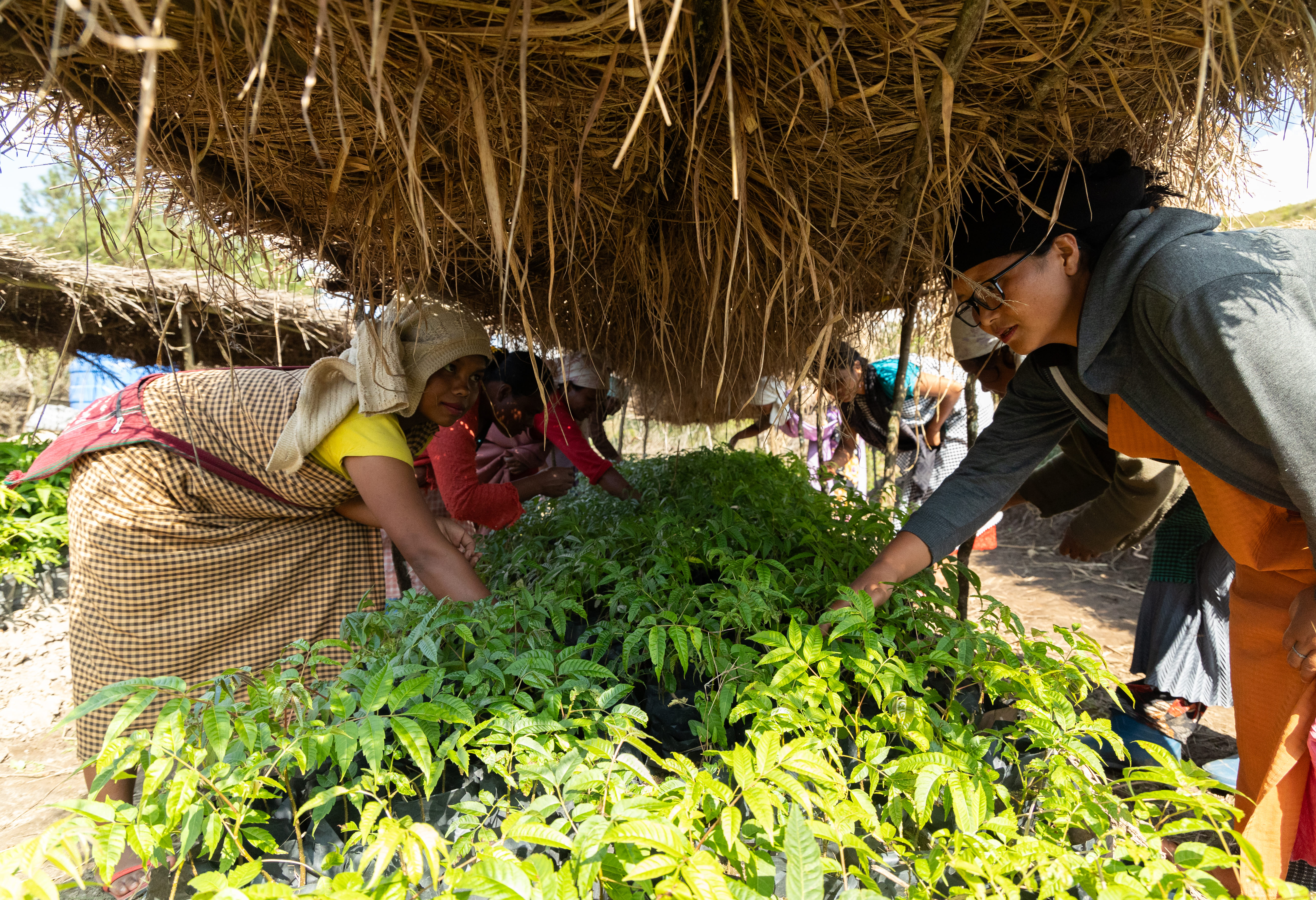Community Nursery1