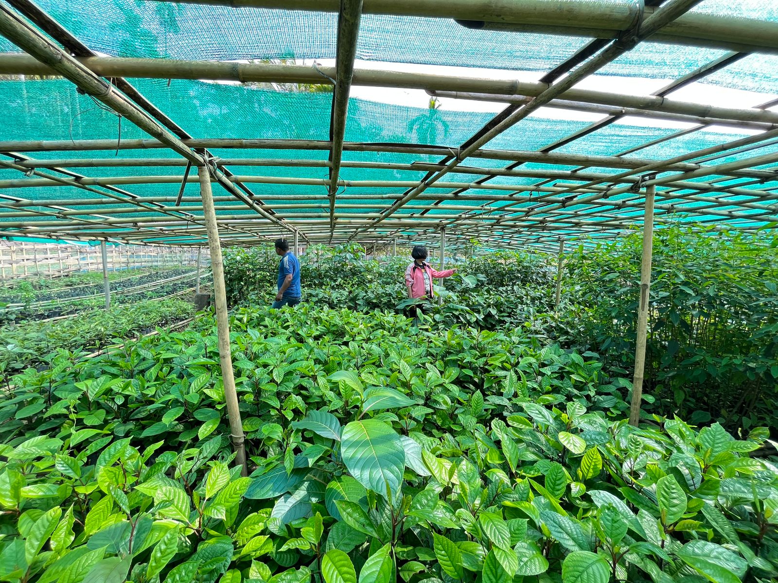 Community Nursery2