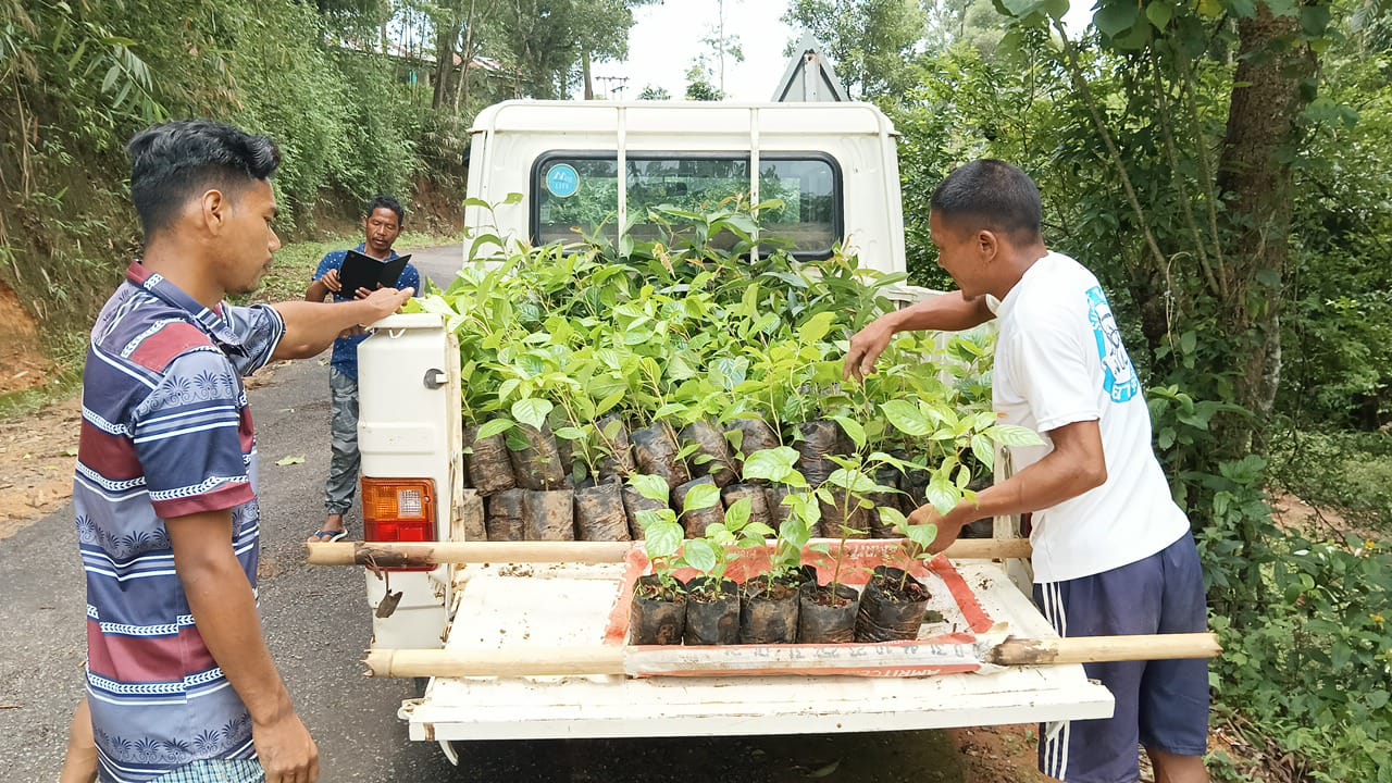 Community Nursery4