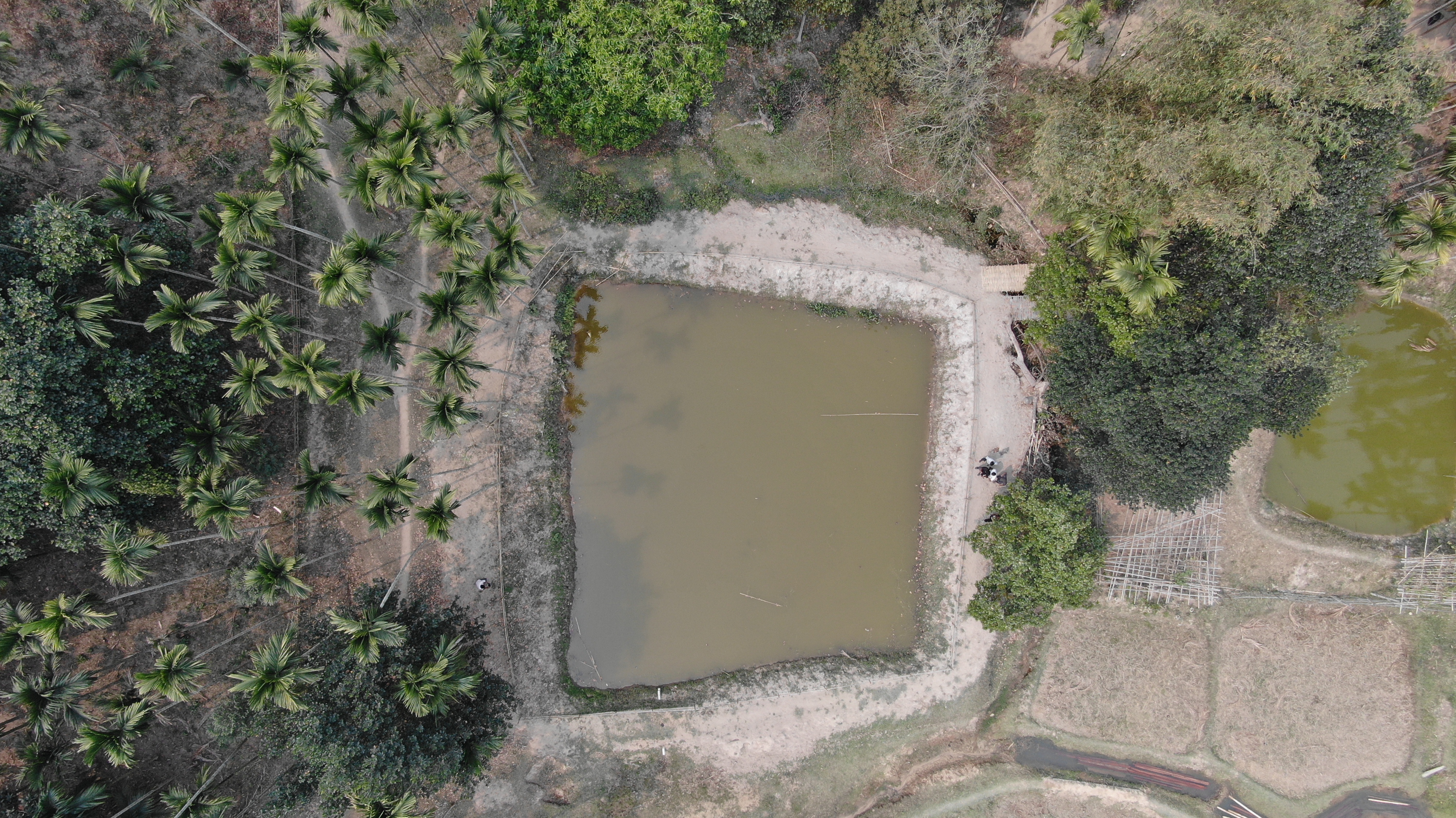  Dug Out Pond