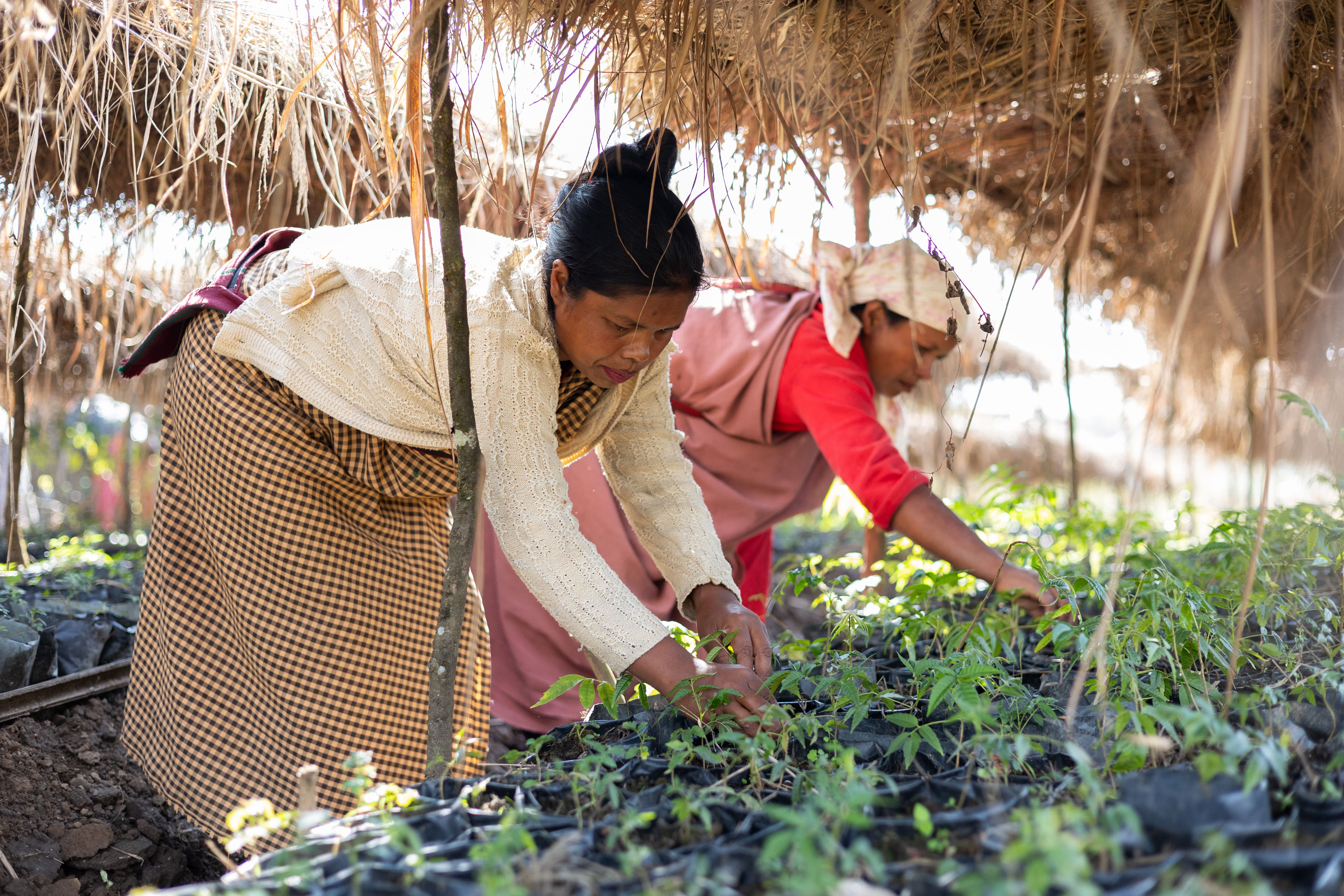  Laitmynsang, Community Nursery